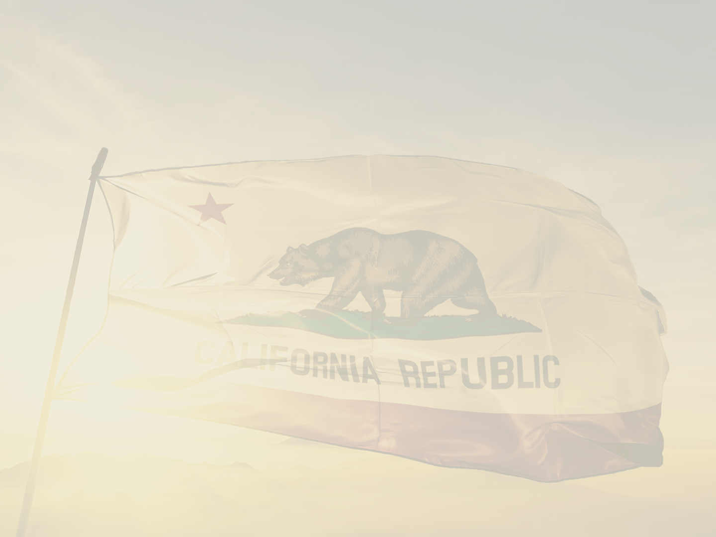 SplashFlag