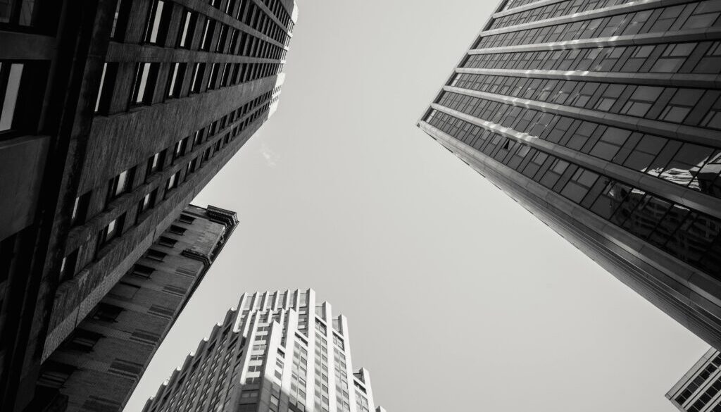 pexels-laura-tancredi-7078292 (1)