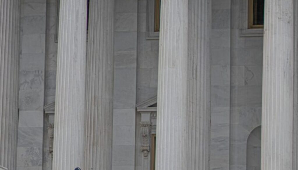 pexels-deelin-1031142-3659582